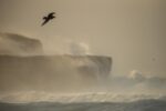 skail bay big waves crashing into rocks on orkney